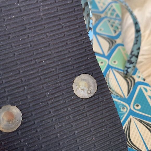 VERA BRADLEY go fish rubber flip flops in cool blue teal back color combo - Picture 8 of 9